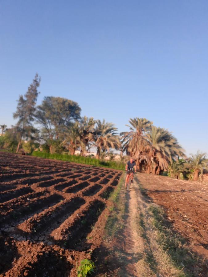 Village Room In The Countryside Al Minya Buitenkant foto